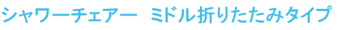 V[`FA[ʉ]^Cvi肽݁j